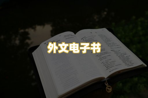 外文电子书